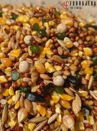 [CT011] Grano Gallo de Pelea